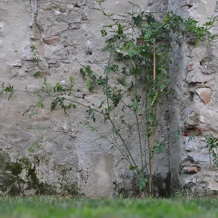 Отель Convento Тарифа