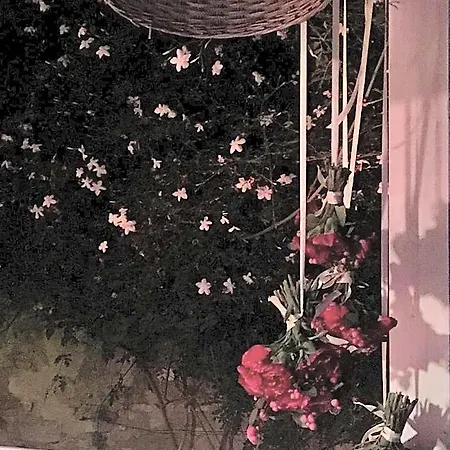 Convento Ξενοδοχείο Ταρίφα