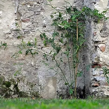 Ξενοδοχείο Convento *